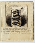 135561 Afbeelding van een pagina met een tekening van een slang in een glazen pot die een rol speelde in de opera ...
